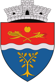 Primaria Dumbrăvița